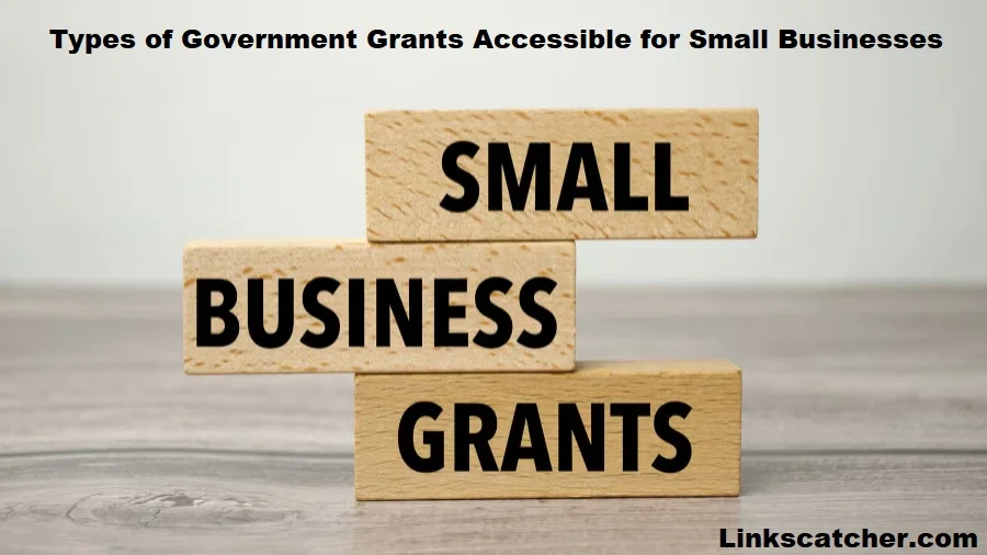 8 Types of Government Grants Accessible for Small Businesses