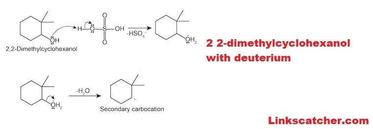 2 2-dimethylcyclohexanol with deuterium