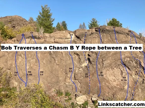 Bob Traverses a Chasm B Y Rope between a Tree