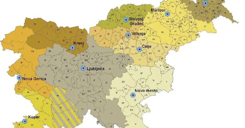 Functional Region: Explore Some Fascinating Examples