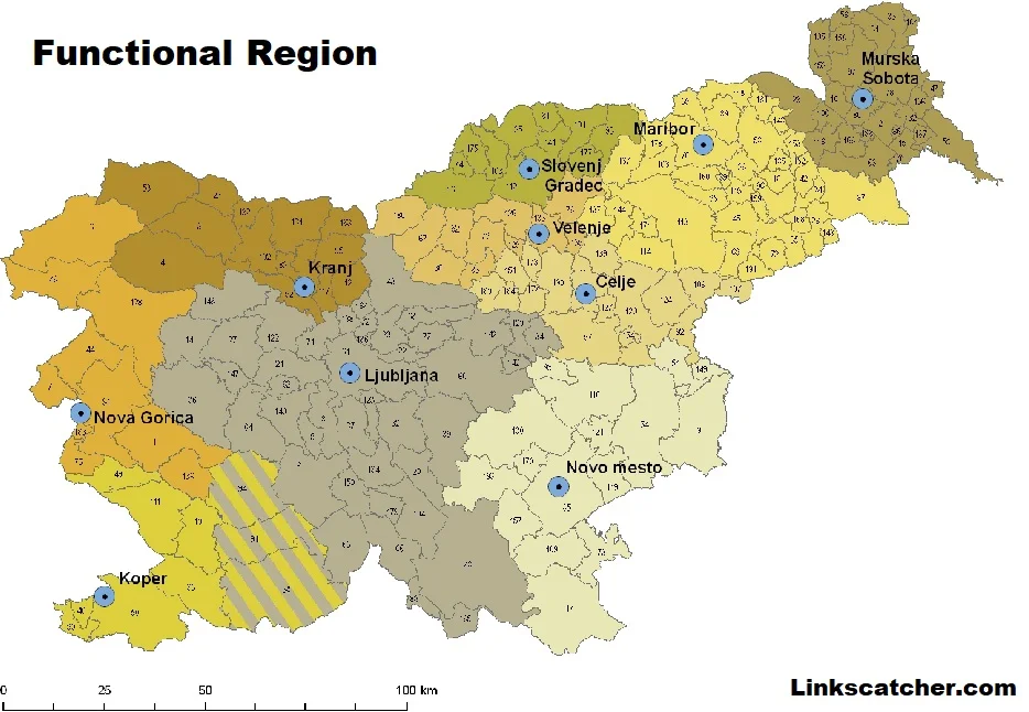 functional region